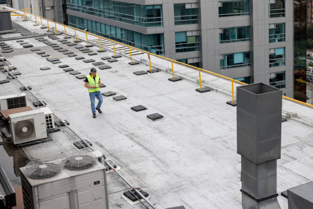 Best Roof Insulation Installation  in Peosta, IA